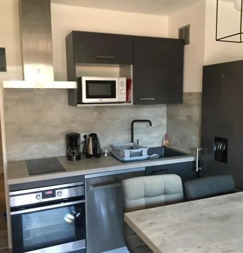 Les Melezes Vue Montagne Apartment *