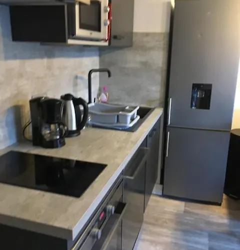 Les Melezes Vue Montagne Barcelonnette